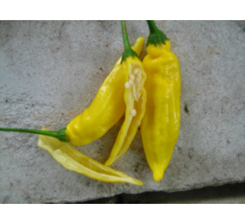 Насіння перцю гострого  Aji lemon
